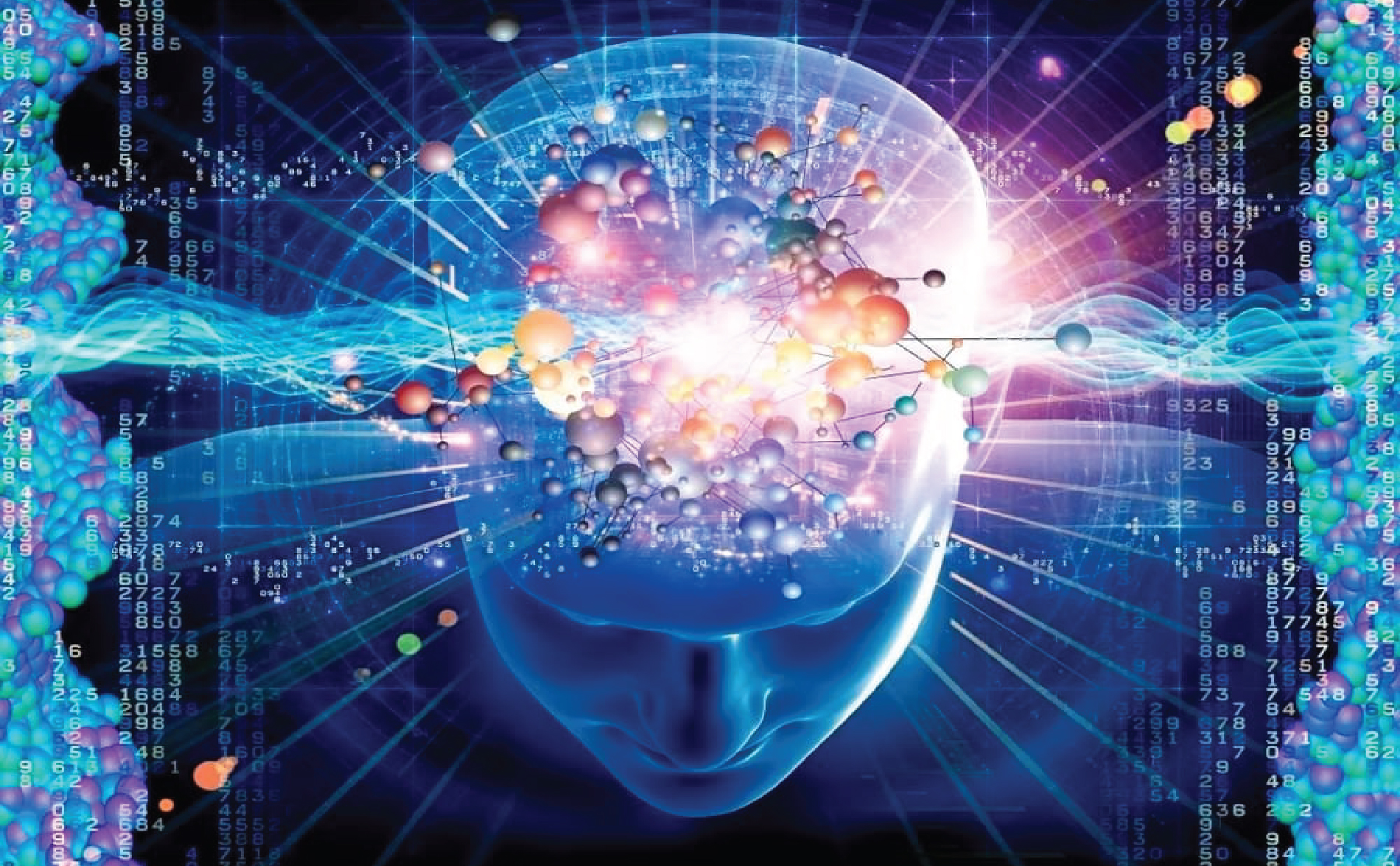 Intelligence