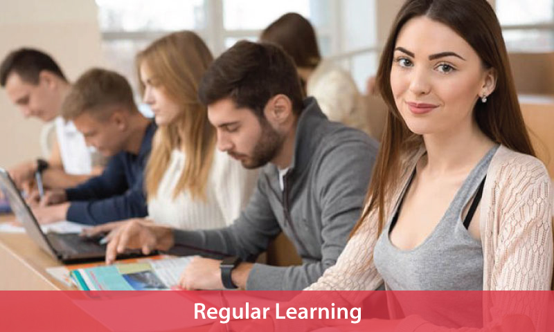 Regular Learning