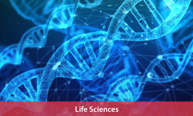 Life Sciences